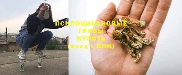 мяу мяу мука Алексин