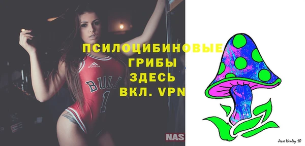 мяу мяу мука Алексин