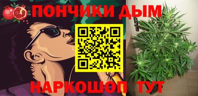 шишки Моздок
