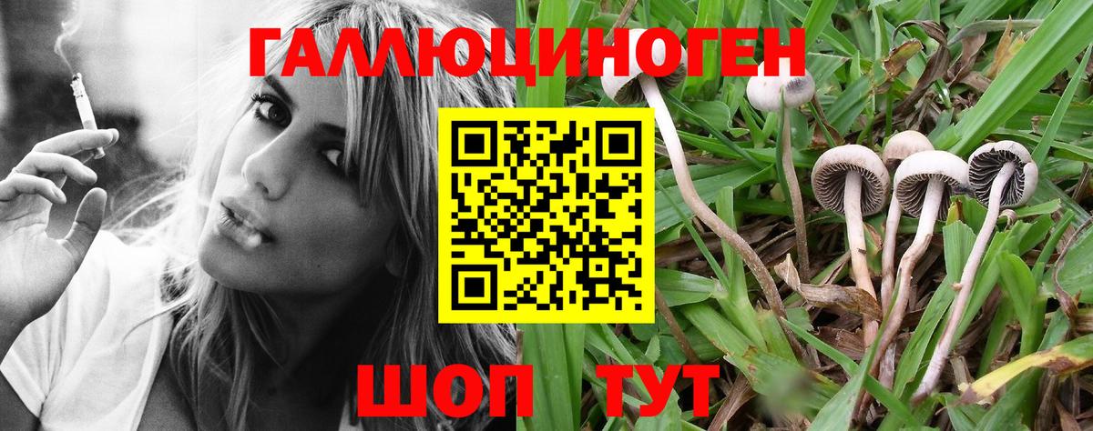 Биробиджан  купить   Вход с VPN  Псилоцибиновые грибы мицелий 